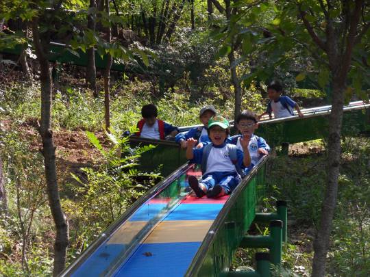 고운식물원의 별미로 해발 265m의 정자 있는 곳에서 230m를 타고 내려오는 자연친화형  롤러슬라이드는 그동안 쌓였던 스트레스를 한방에 날려 보낼 수 있어 어른들과 아이들에게 인기가 좋다. 고운식물원 제공