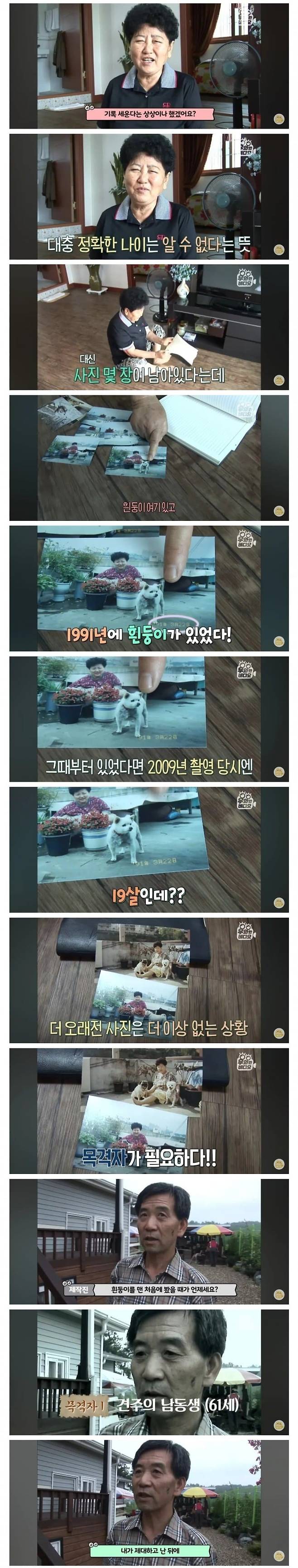 36년 장수한 강아지