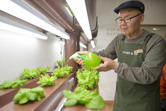 지난달 23일 서울 성북구 장위석관보건지소 내 '기억 품은 팜 카페'에서 초로기 치매 진단을 받은 오귀영씨가 매장에서 직접 채소를 키우는 스마트팜에 물을 주고 있다. 하상윤 기자