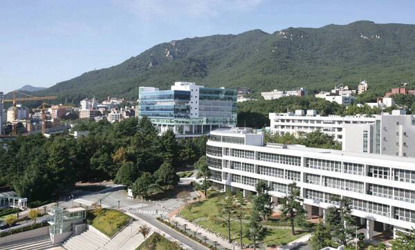 부산대학교 제공