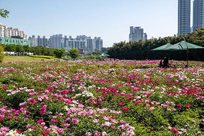 태화강 국가정원. 울산시 제공