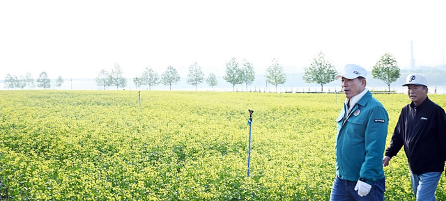 백경현 경기 구리시장(왼쪽)이 7일 토평동 구리한강시민공원에 조성된 유채꽃 단지를 둘러보고 있다. 구리시