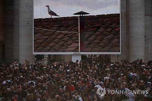 콘클라베 첫날 시스티나 성당 굴뚝 근처에 모습을 드러낸 갈매기 [로이터=연합뉴스 자료사진. 재판매 및 DB금지]