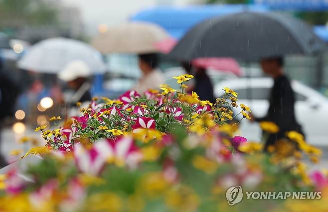 봄비 [연합뉴스 자료사진]