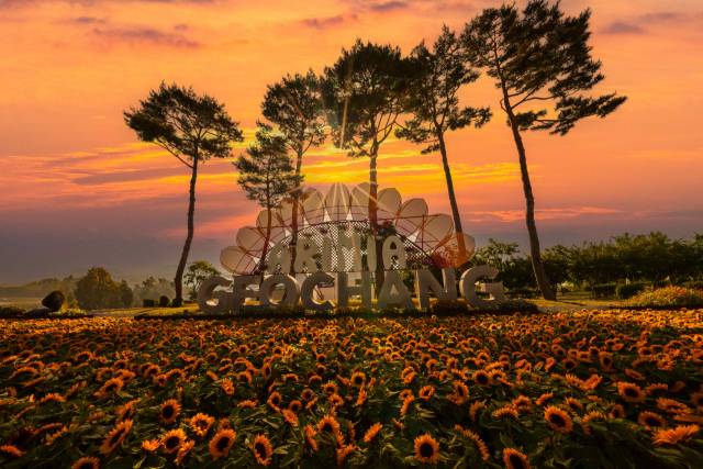 창포원 아리미아꽃축제.