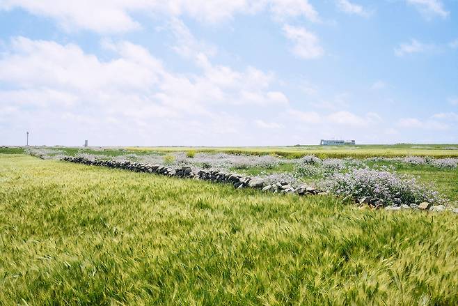 제주올레 10-1 코스(가파도) / 사진=서명숙