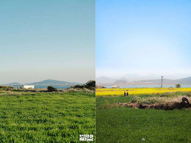 제주올레 10-1코스 (가파도)&nbsp;/ 사진=서명숙