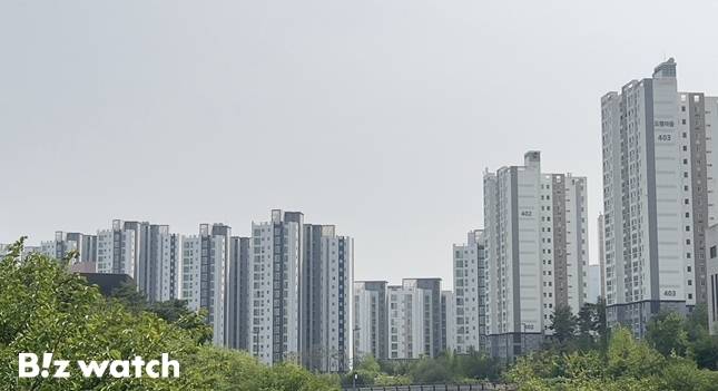 세종시 도담동 아파트 전경./사진=김미리내 기자