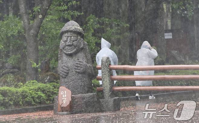 제주 대부분 지역에 호우특보가 내려진 9일 오전 제주시 봉개동 절물자연휴양림에 많은 비가 내려 탐방객이 급히 발걸음을 옮기고 있다. 2025.5.9/뉴스1 ⓒ News1 오현지 기자