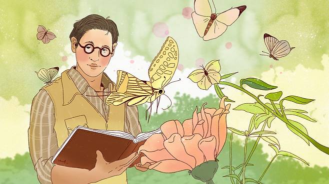 송도고보 박물교사 석주명은 1930년대 조선에서 가장 유명한 과학자중 하나였다.  전국 각지를 누비며 나비 표본 75만점을 수집, 조선산 나비를 총정리한 영문서 '조선산접류총목록'을 출간했다. 영국 왕립아시아학회 조선지부의 요청을 받은 연구였다. 석주명은 9.28 수복 직후 '빨갱이'로 오해받고 총에 맞아 숨졌다. 어이없는 최후였다. /일러스트=조선디자인랩 이연주