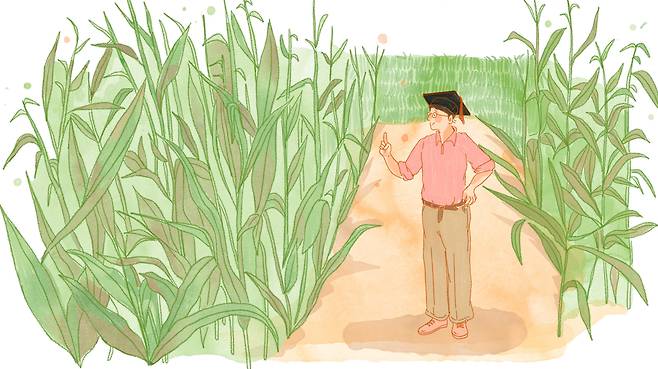 박달조 교수는 하와이 사탕수수노동자 이민 2세다. 1906년 하와이에서 태어난 그는 오하이오 주립대에서 박사학위를 받았다. 프레온, 테플론 개발에 참여했고, 불소화학 불모지인 한국이 국산 프레온을 개발하는 작업을 도왔다.하와이 이민2세 중 가장 성공한 입지전적 인물중 하나다./일러스트=조선디자인랩 이연주