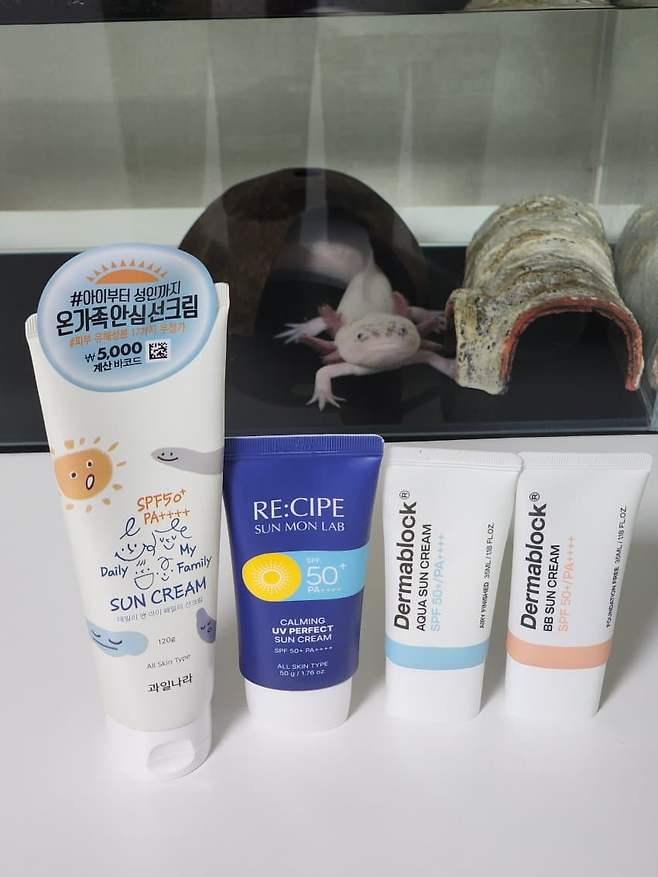 3fb8c32fffd711ab6fb8d38a4f83746ffd0e5ca9c752ec464a8ce11d6647cec228df80640cbda2a517cddc575b