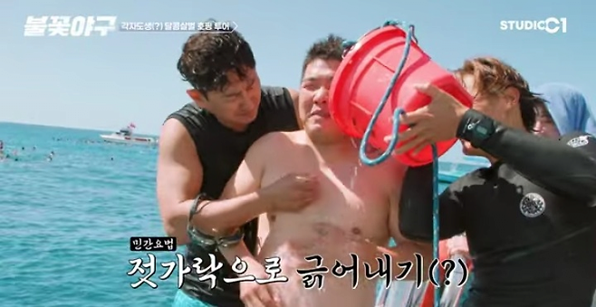 image.png 해파리독 응급 처치