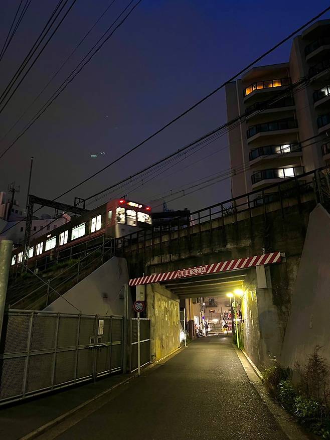 KakaoTalk_20250508_151910442_08.jpg 골든위크에서 살아남기 - 4