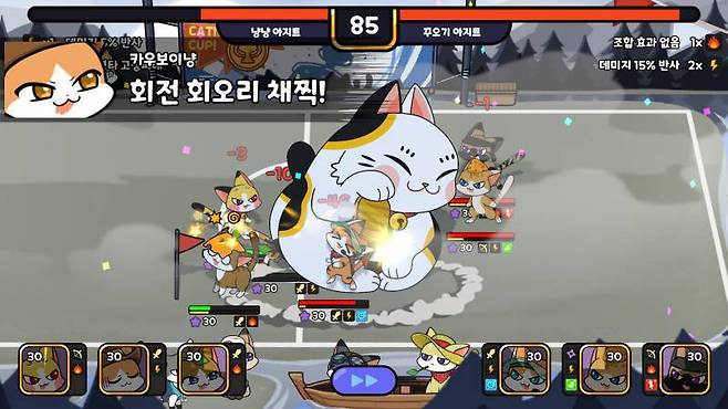 귀여운 고양이들의 대결