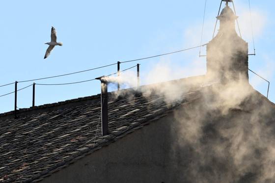 바티칸의 성 시스티나 성당의 굴뚝에서 새 교황의 탄생을 알리는 흰 연기가 피어오르고 있다.[epa=연합뉴스]