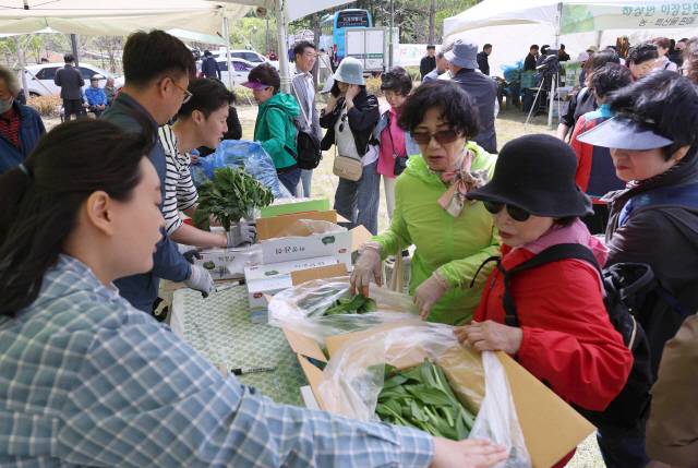 ▲ 제11회 삼척하장 두타산 산나물 축제가 10~12일 사흘간 하장면 번천리 ‘백두대간 청정임산물 복합체험센터’ 일원에서 4년만에 다시 열려 많은 관광객들이 몰렸다. 2024.5.12 [강원도민일보 자료사진]&nbsp;