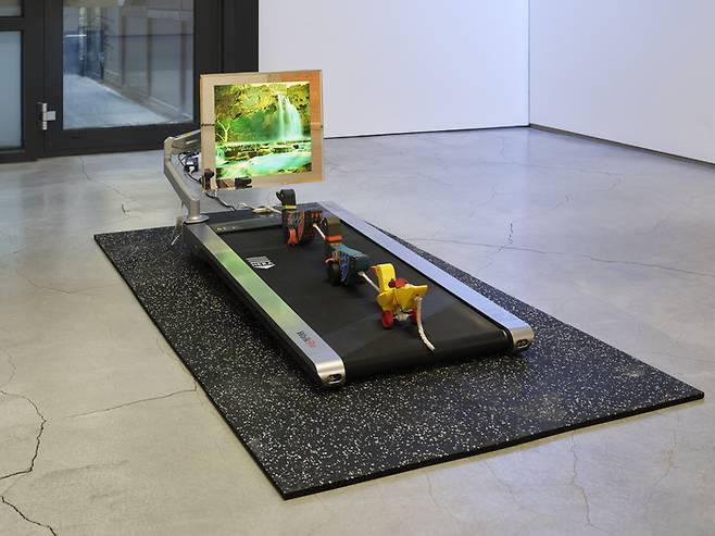 레이첼 윤 ‘No Pain No Gain’(2022-2025). 지갤러리