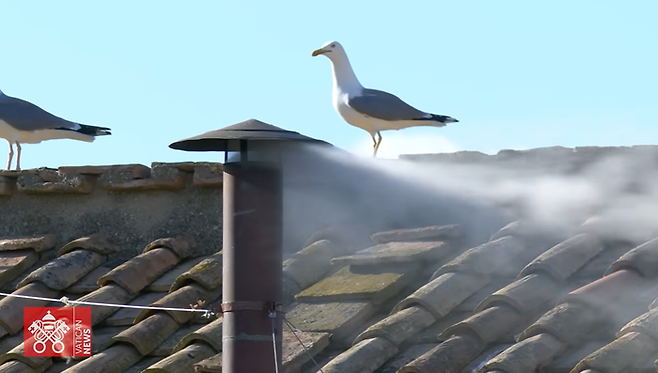 굴뚝에서 피어오르는 흰색 연기는 교황 선출이 완료됐다는 신호이다. [사진 = 바티칸 뉴스 유튜브]