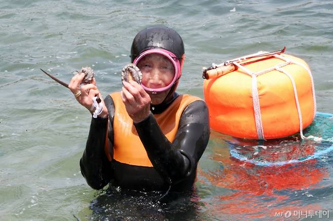 지난해 5월 제주시 한림읍 귀덕2리 어촌계 인근 바다에서 70여 년 해녀 생활을 마무리하는 김유생(92) 어르신이 마지막 물질을 하고 있다.  /사진=뉴스1