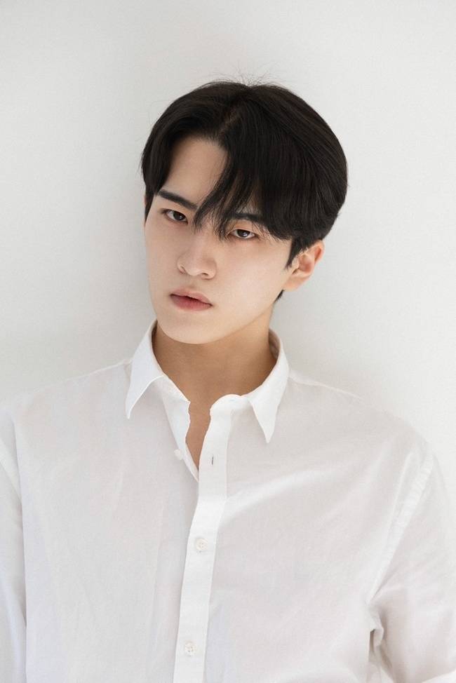 오크컴퍼니 제공