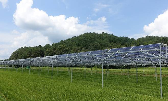 영농형 태양광. 전남도 제공