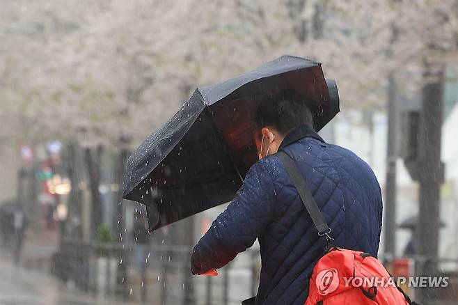 요란한 비 [연합뉴스 자료사진]