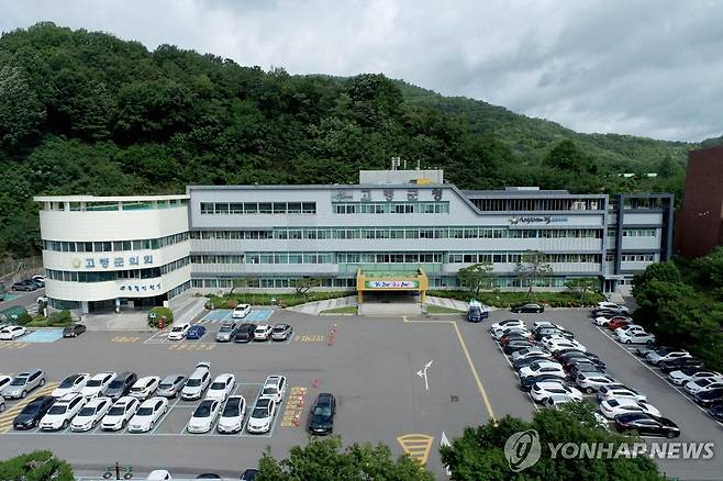 고령군청 [고령군 제공.재판매 및 DB금지]