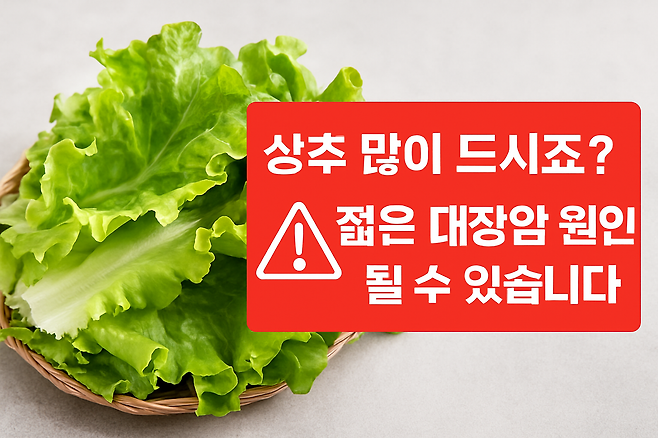 상추 많이 드시죠 젊은 대장암 원인 될 수 있습니다