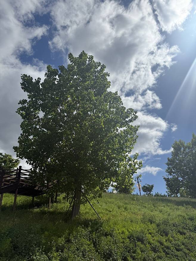 IMG_8567.jpeg 울산 쇠부리축제!!