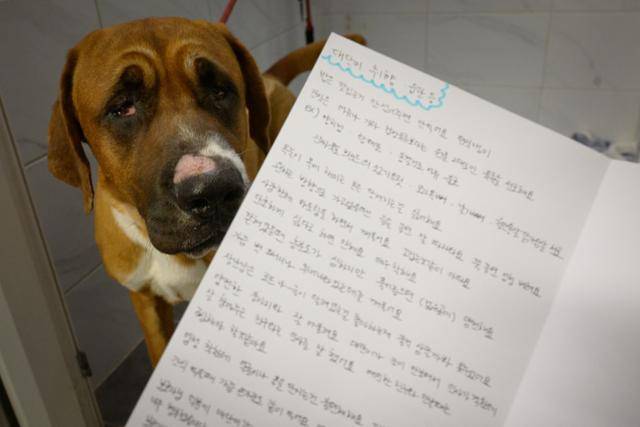 지난 7일 경기 평택시 24시라움의료센터에서 한달 동안 대단이를 담당했던 테크니션이 퇴원하는 대단이를 위해 습관과 취향 등을 꼼꼼히 기록한 편지를 보호자에게 전달하고 있다. 평택=하상윤 기자