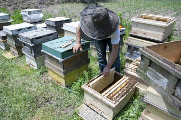 기사의 이해를 돕기 위한 사진으로 직접적인 관련은 없습니다. 이미지투데이