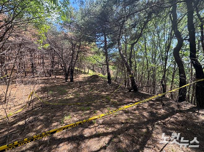 의성군 안평면 괴산리 발화 지점. 경찰은 한 50대 성묘객이 나무를 제거하기 위해 불을 붙이다 대형 산불로 이어진 것으로 추정 중이다. 이우섭 기자