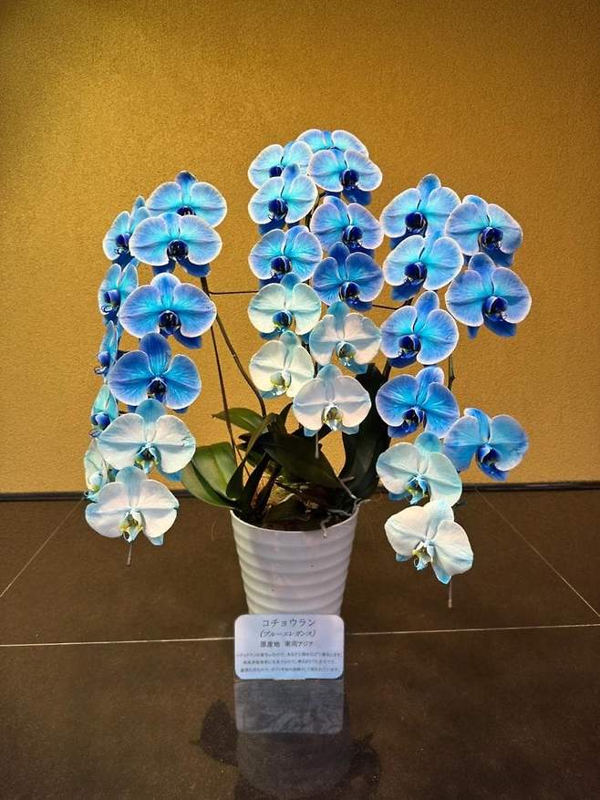 06bcdb27eae639aa658084e544847468e1b84aa8ac5e4f908abcd5f42f87196ed9d9a0bb2f07eb1a90155bdf6e92a3