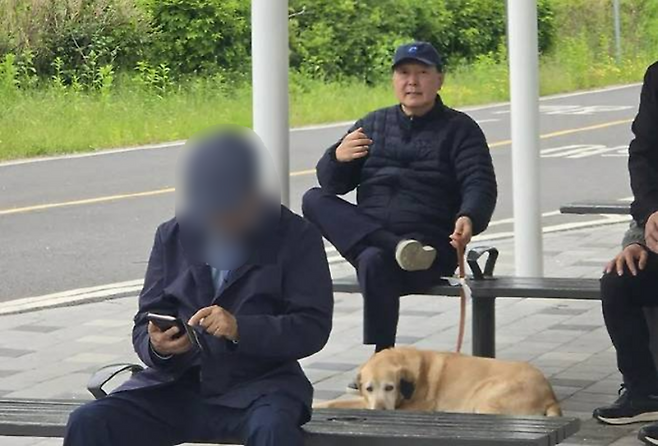 지난 5일 서울 동작대교 부근 한강공원에서 포착된 윤석열 전 대통령. (온라인 커뮤니티 캡처)