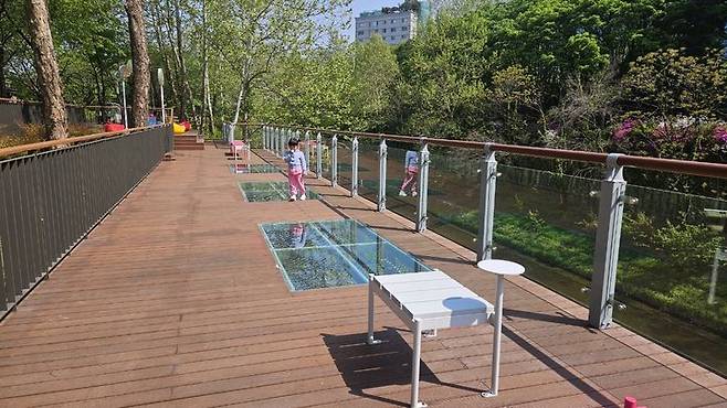 [서울=뉴시스] 반포천 산책로. 2025.05.11. (사진=서초구 제공) *재판매 및 DB 금지