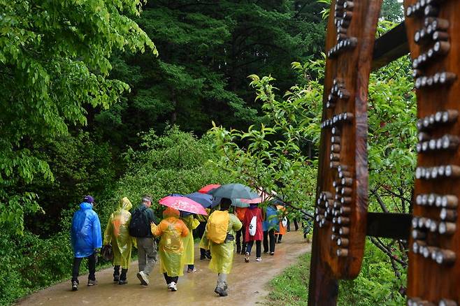 '제6회 횡성호수길축제'를 찾은 방문객들. *재판매 및 DB 금지