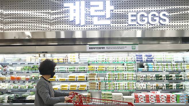 서울의 한 대형마트에서 시민이 계란을 살펴보고 있다. 연합뉴스