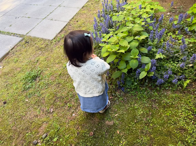 ▲ 사진 | 이민정 개인 계정