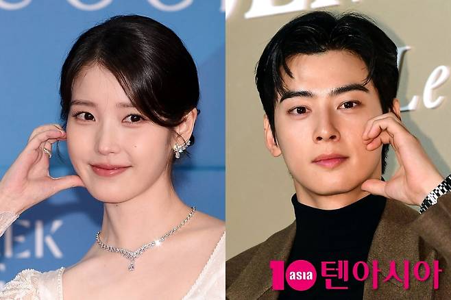 아이유, 차은우/ 사진=텐아시아 DB