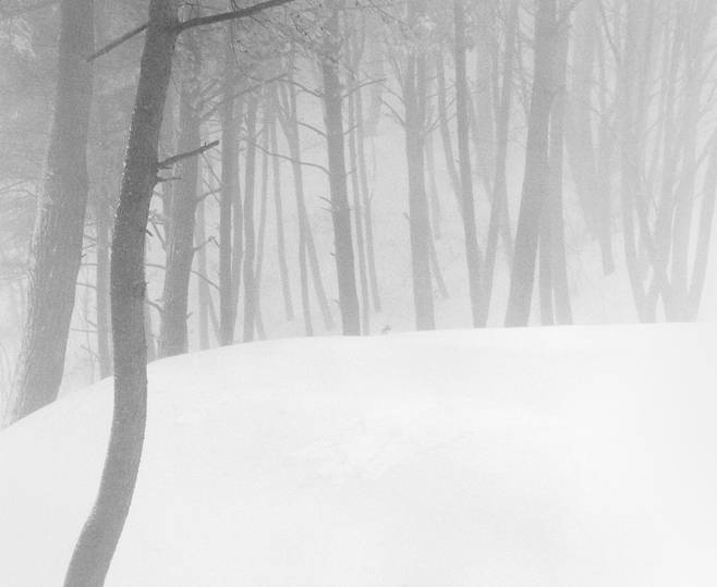 민병헌作 ‘Snow land’. /사유원 제공