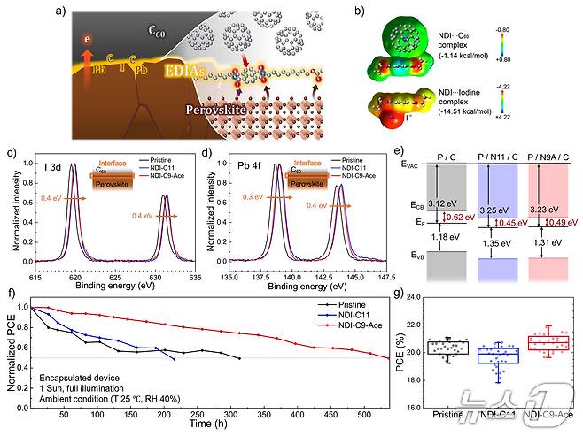 연구 이미지. (부산대 제공. 재판매 및 DB 금지)