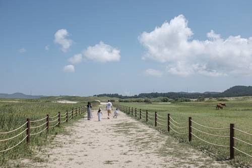 태안 신두리 사구(사진 최갑수)