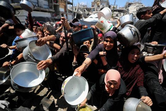 가자지구 북부 베이트 라히야에서 주민들이 필사적으로 팔을 뻗어 식량을 얻으려 하고 있습니다. 잡초와 바다 거북이로 연명할 정도로 주민들은 극한의 생존을 이어가고 있습니다. 로이터 연합뉴스