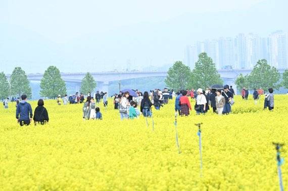 지난 9일부터 11일까지 구리한강시민공원에서 진행된 유채꽃 축제를 찾은 시민들. 구리시 제공