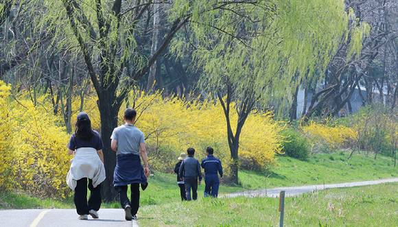 가볍게 뛰기, 자전거 타기, 빠르게 걷기 등 운동을 꾸준히 하면 심혈관질환 재발 위험이 낮아졌다. [사진=연합뉴스]