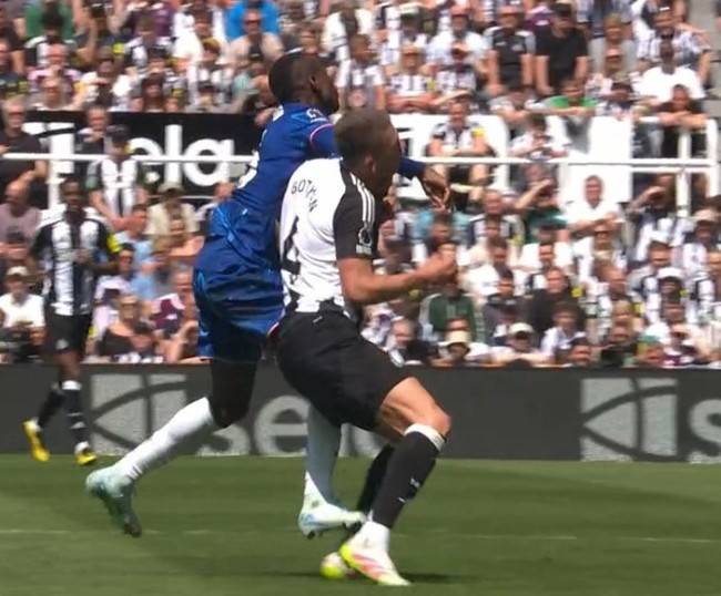 사진 = 비자르 택틱