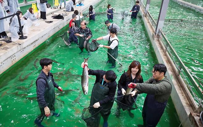 강원 양양군 한국수산자원공단 동해생명자원센터에서 외국인 의사들이 리쥬란 ‘연어주사’에 사용되는 연어를 살펴보고 있다. /이솔 기자