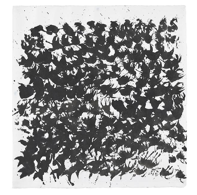 박인경 ‘Envol’ (2025). S2A갤러리