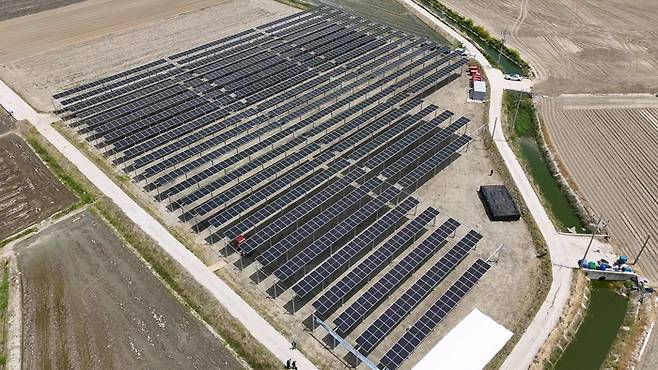 전남 영광군에 설치된 파루 단축 영농형태양광 발전소 전경. 파루 제공.